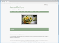 Sharon's Photography Website Screenshot